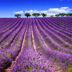 https://gite-au-coeur-des-gorges-du-verdon.fr-provencehotel.com